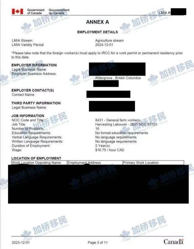 ayx-欧超杯倒计时，武汉三镇窗口期完成体检，细节引发关注，压力陡增，团队化学反应显著的简单介绍-ayx